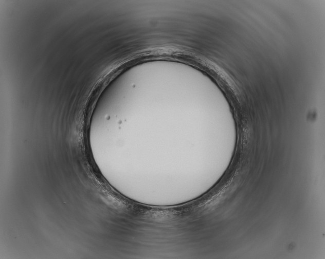 X0000093740778200711061023