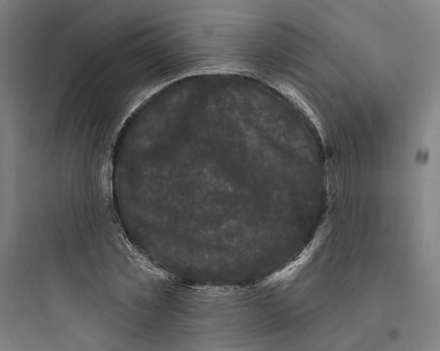 X0000093740781200711061023