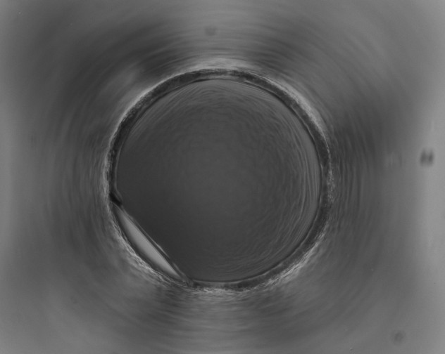 X0000093740783200711061023