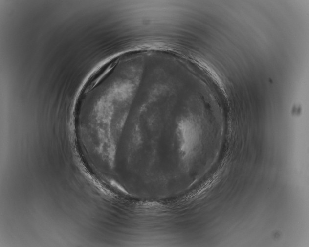 X0000093740784200711061023