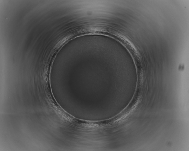 X0000093740785200711061023