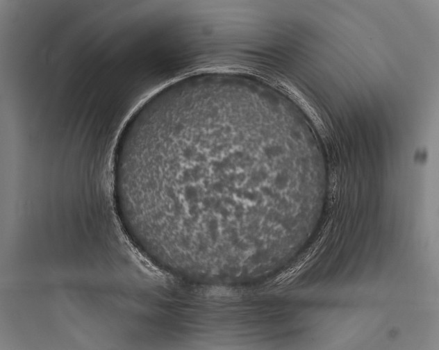 X0000093740787200711061023