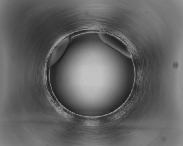 X0000093740788200711061023