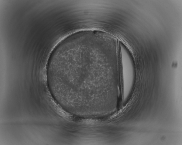 X0000093740789200711061023