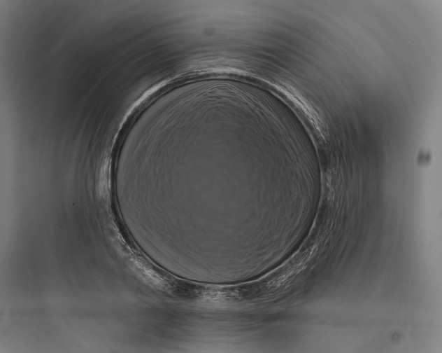 X0000093740790200711061023