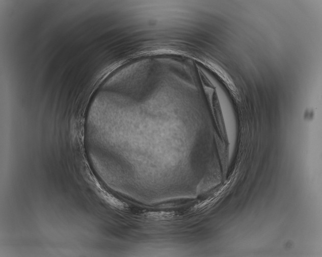 X0000093740793200711061023