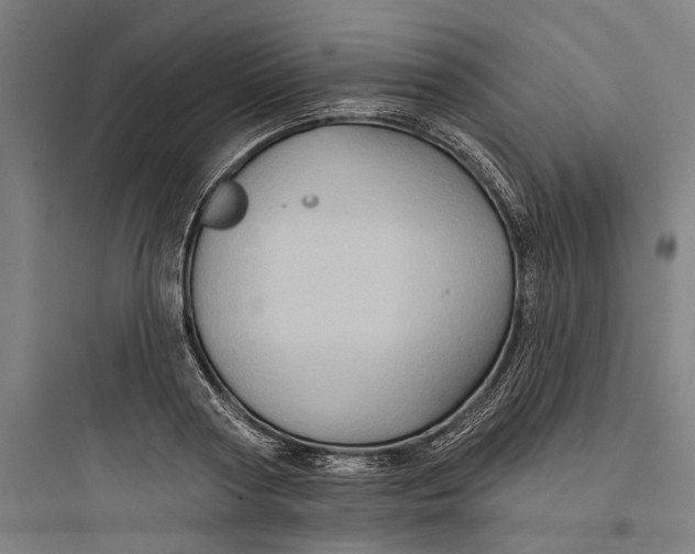 X0000093740794200711061023