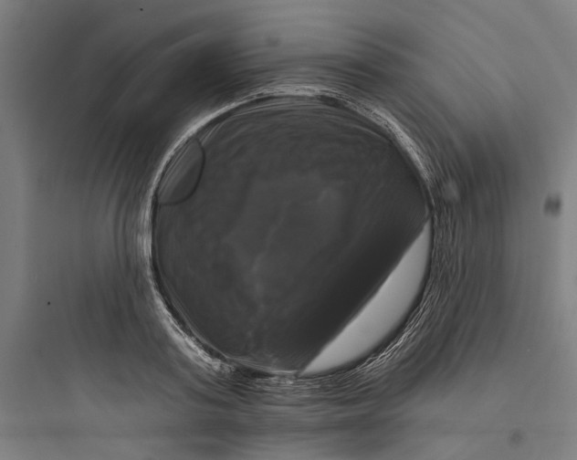 X0000093740795200711061023