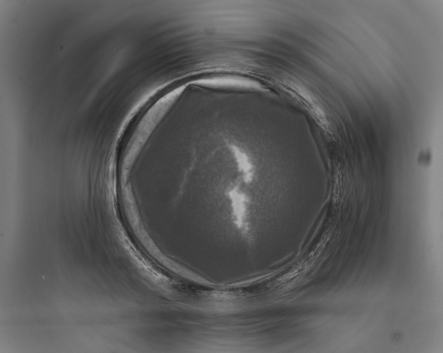 X0000093740796200711061023