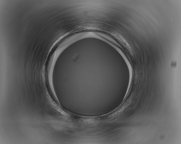 X0000093740798200711061023