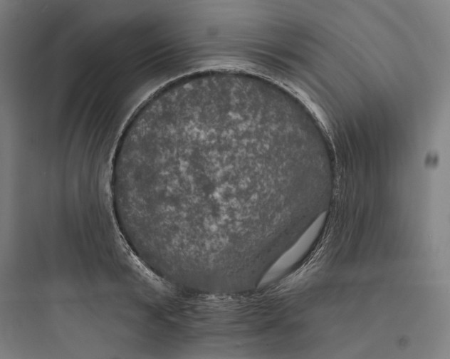 X0000093740799200711061023