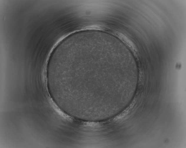 X0000093740800200711061023