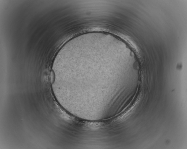 X0000093740801200711061023