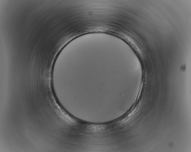 X0000093740802200711061023