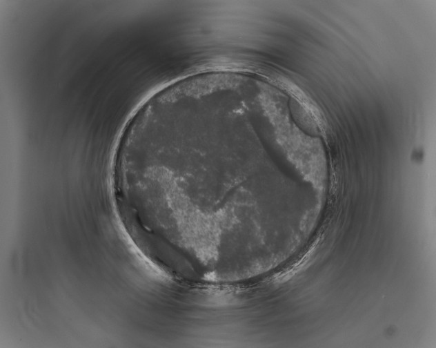 X0000093740803200711061023