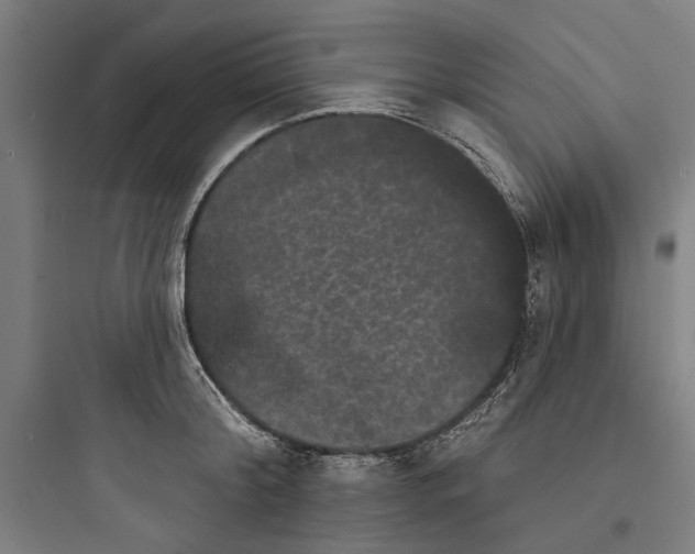 X0000093740804200711061023