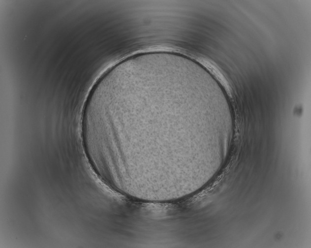 X0000093740805200711061022