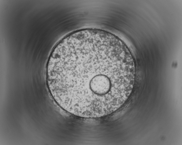 X0000093740807200711061022