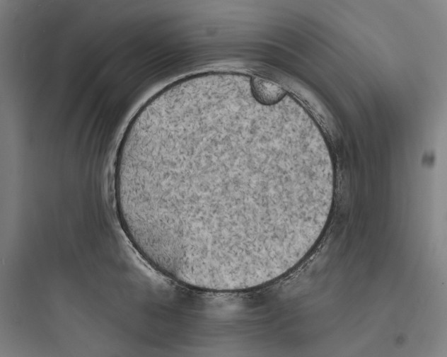 X0000093740808200711061022