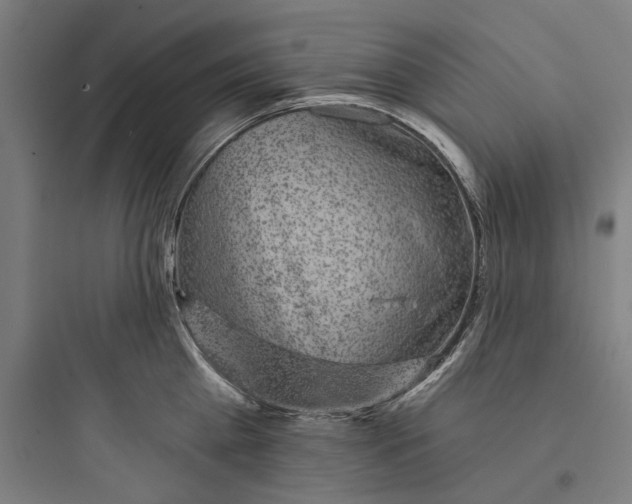 X0000093740809200711061022