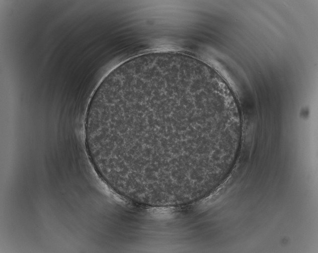 X0000093740810200711061022