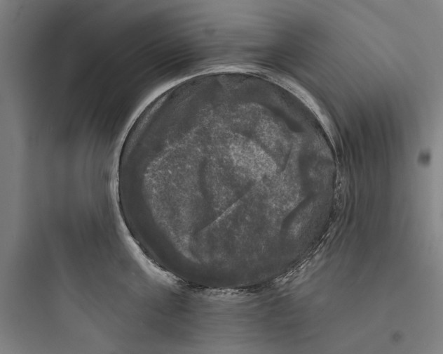 X0000093740811200711061022