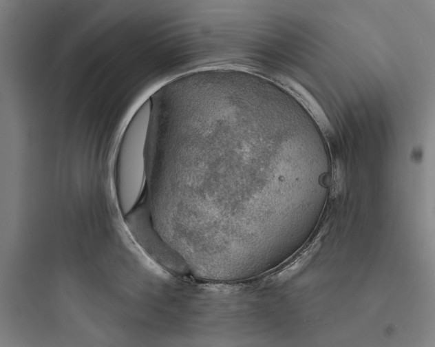 X0000093740812200711061022