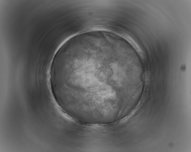 X0000093740814200711061022