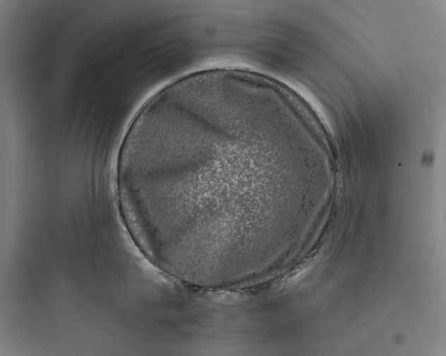 X0000093740815200711061022