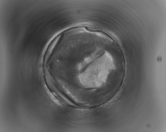 X0000093740816200711061022