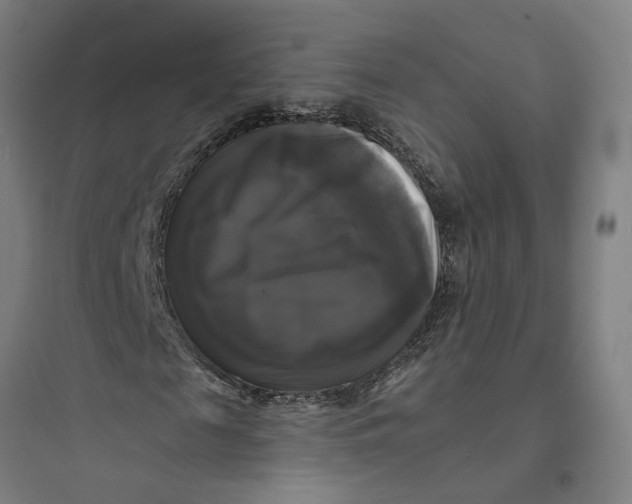 X0000093740817200711061021