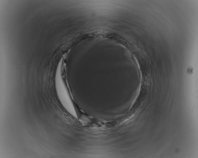 X0000093740818200711061021