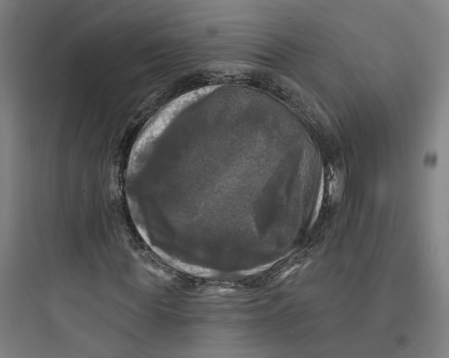 X0000093740819200711061021