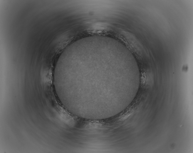 X0000093740820200711061021