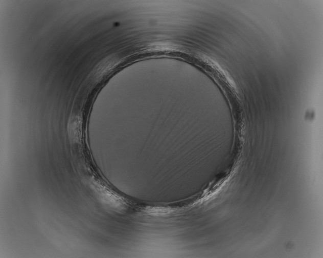 X0000093740825200711061021