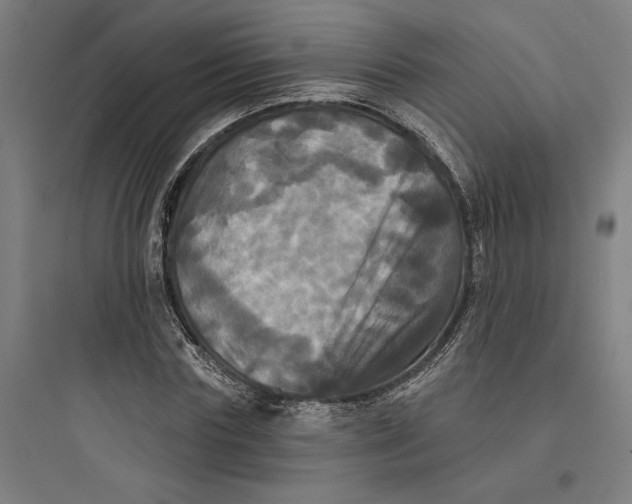 X0000093740827200711061022