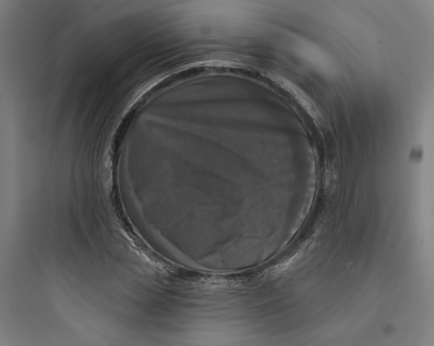 X0000093740829200711061022