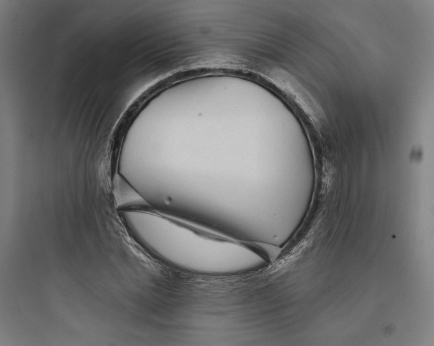 X0000093740830200711061022