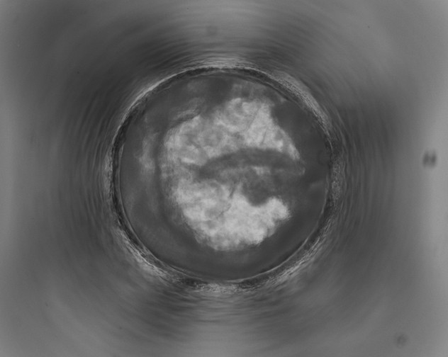 X0000093740831200711061022