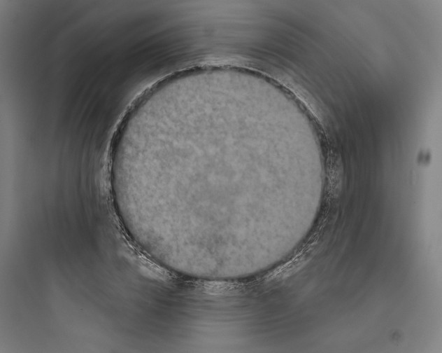 X0000093740832200711061022