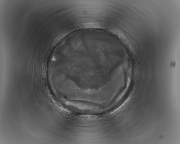 X0000093740833200711061022