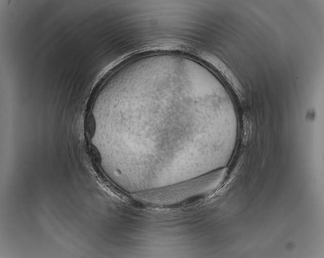 X0000093740834200711061022