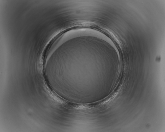 X0000093740835200711061022