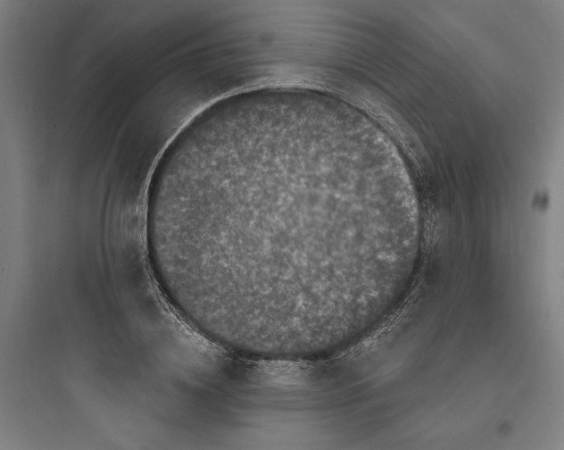 X0000093740836200711061022