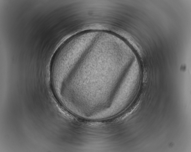 X0000093740837200711061022