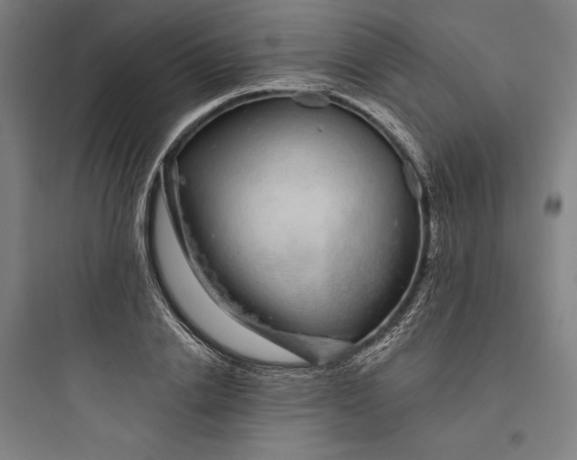 X0000093740838200711061022