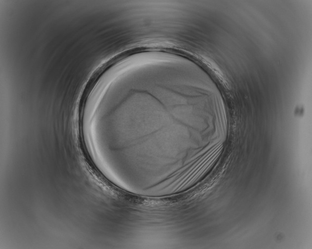 X0000093740840200711061022