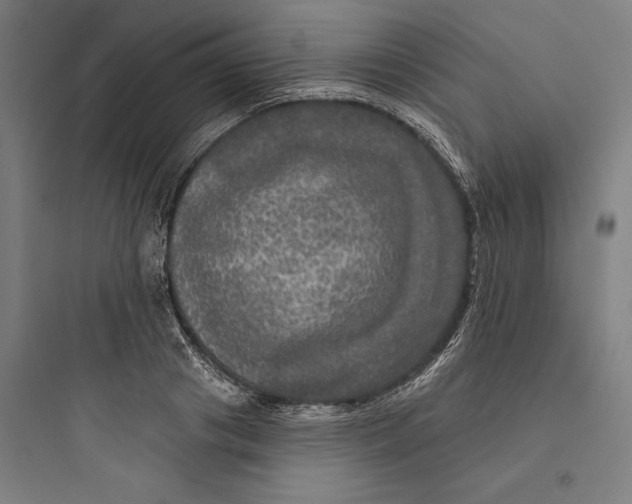 X0000093740841200711061022