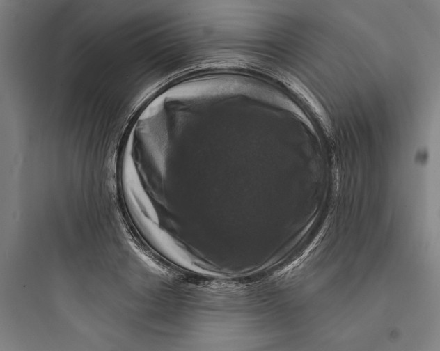 X0000093740842200711061022