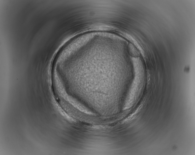 X0000093740843200711061022